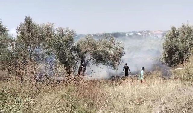 Manavgat’ta yangın yerleşime ulaşmadan söndürüldü