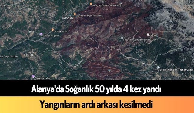 Alanya'da Soğanlık 50 yılda 4 kez yandı
