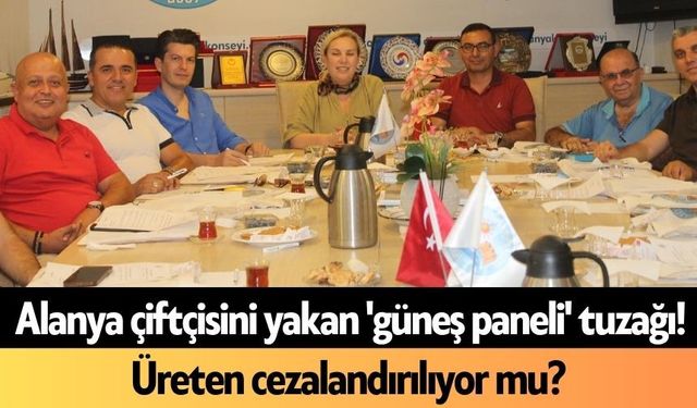 Alanya çiftçisini yakan 'güneş paneli' tuzağı! Üreten cezalandırılıyor mu?