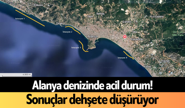 Alanya denizinde acil durum! Sonuçlar d*hşete düşürüyor