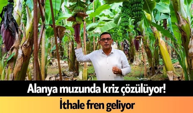 Alanya muzunda kriz çözülüyor! İthale fren geliyor
