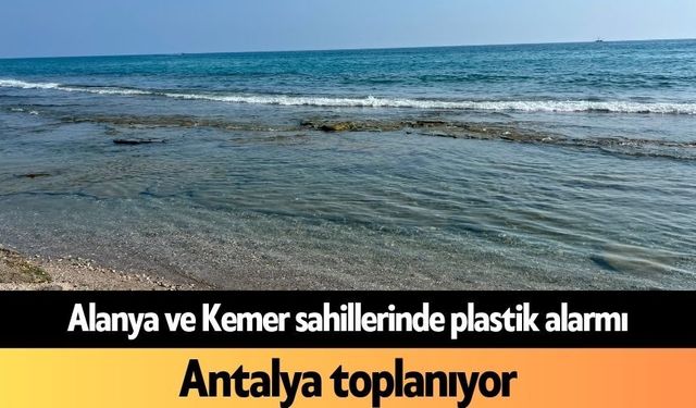 Alanya ve Kemer sahillerinde plastik alarmı: Antalya toplanıyor