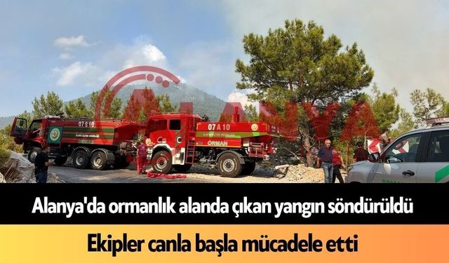 Alanya’da çıkan orman yangını kontrol altına alındı