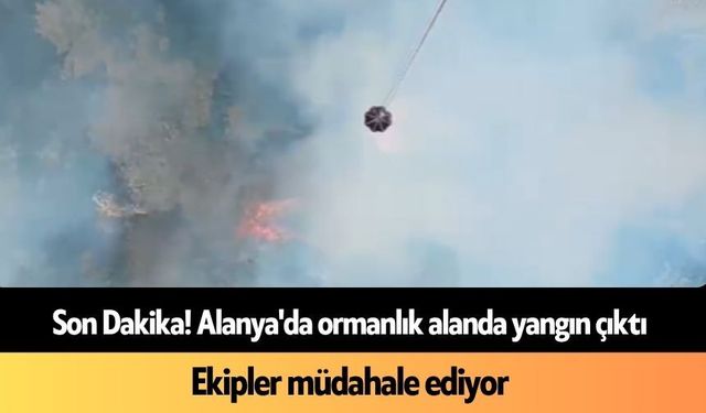 Son Dakika! Alanya'da ormanlık alanda yangın çıktı: Ekipler müdahale ediyor