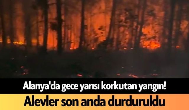 Alanya'da gece yarısı korkutan yangın! Alevler son anda durduruldu
