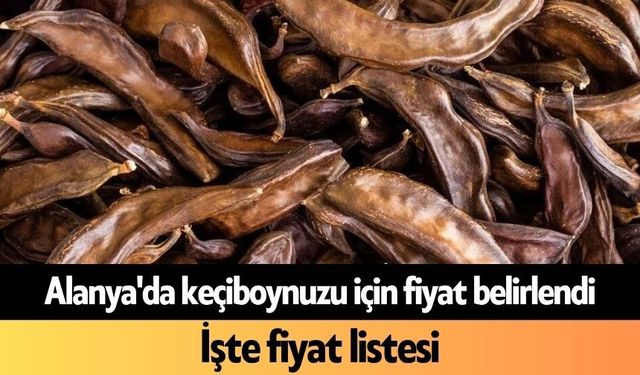 Alanya'da keçiboynuzu için fiyat belirlendi