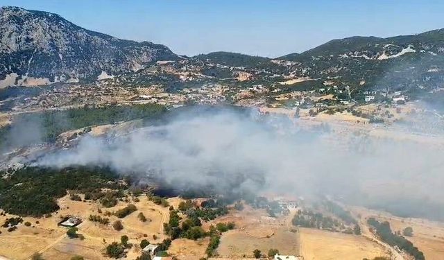 Antalya Kaş'ta çıkan orman yangınından haber var