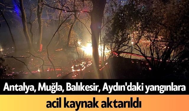 Antalya, Muğla, Balıkesir, Aydın'daki yangınlara acil kaynak aktarıldı