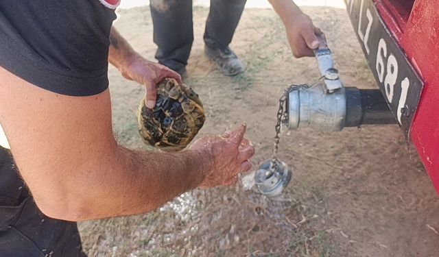 Antalya'da canlı canlı yanmaktan toprağa sığınarak kurtulmaya çalıştı