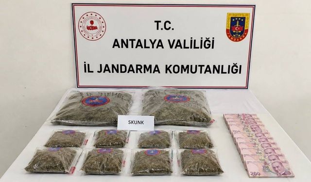 Antalya'da kilolarca skunk ele geçirildi
