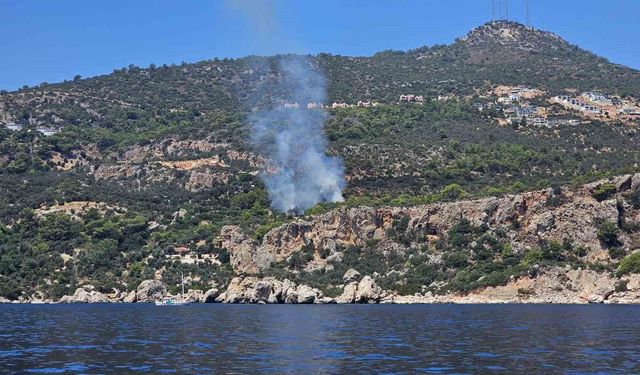 Antalya'da makilik alanda yangın çıktı