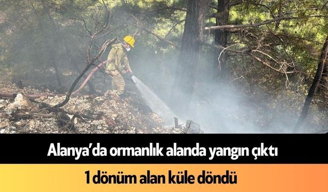 Alanya’da ormanlık alanda yangın çıktı: 1 dönüm alan küle döndü