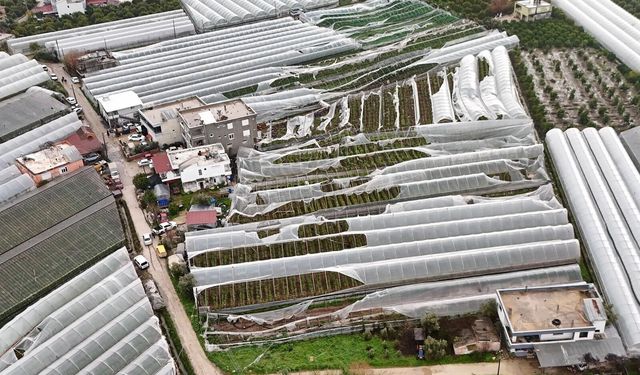 Antalya’da Üreticiye 657 Bin Metrekare Destek