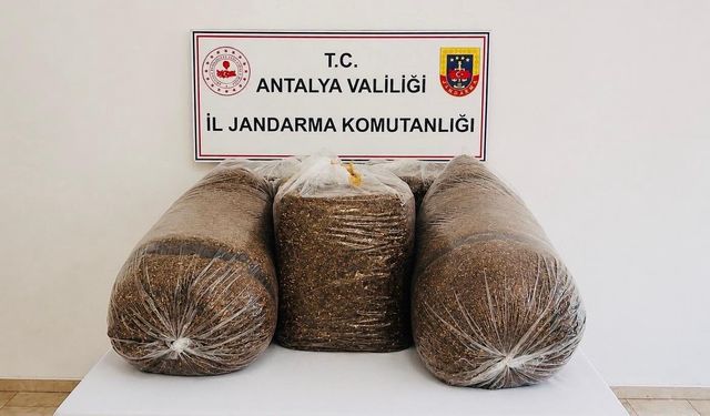 Antalya'nın iki ilçesinde kaçak tütün operasyonu