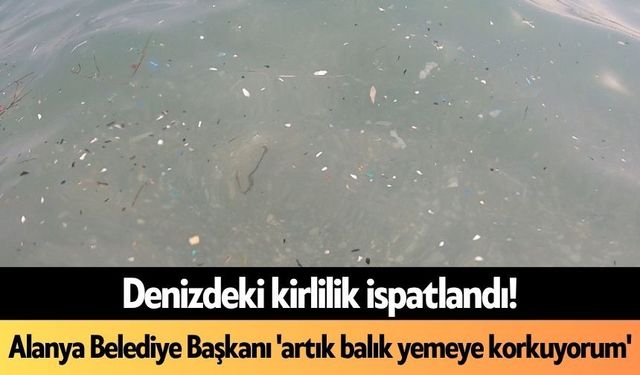 Denizdeki kirlilik ispatlandı! Alanya Belediye Başkanı 'artık balık yemeye korkuyorum'