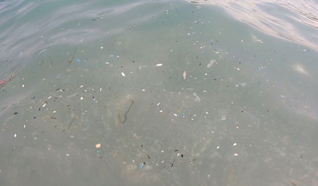 Levant akıntısı Antalya denizine kirliliği taşıyor