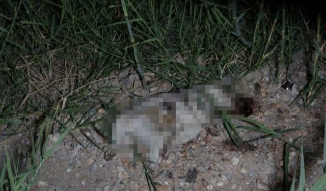 Manavgat'ta Alman vatandaşı sınır dışı edildi