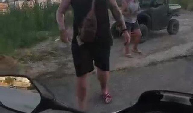 Manavgat'ta Hayvan Düşmanlığı: Olay Kamera Kaskında!