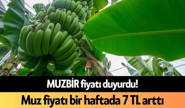 MUZBİR fiyatı duyurdu! Muz fiyatı bir haftada 7 TL arttı