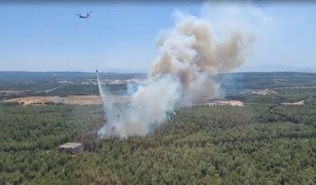 Balıkesir'de orman yangını çıktı: Ekipler müdahale ediyor