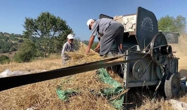 Ordu’da patoz mesaisi başladı