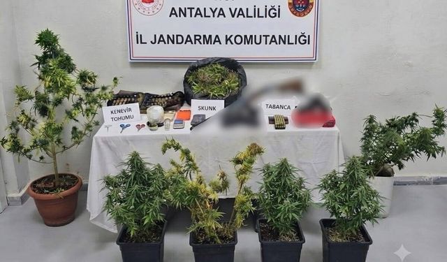Alanya ve Serik'te titizlikle arandı! Zehir tacirlerine şok baskın