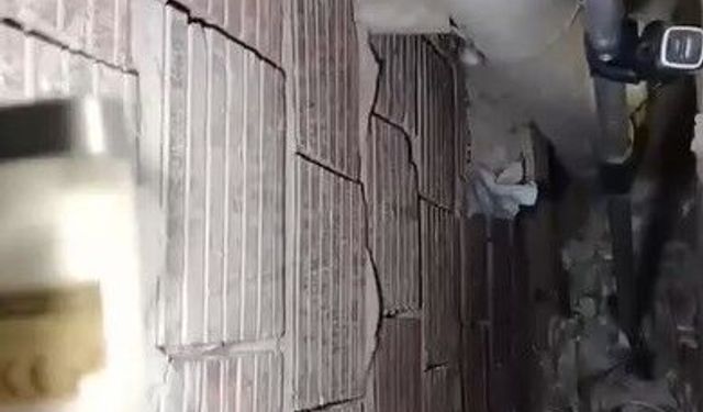 Alanya'da kedi için seferber oldular
