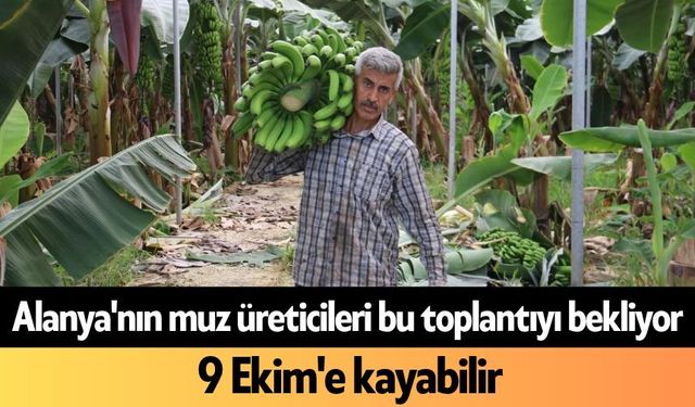 Alanya'nın muz üreticileri bu toplantıyı bekliyor