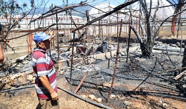 Antalya Kaş'ta yangın sonrası yaraları saracaklar