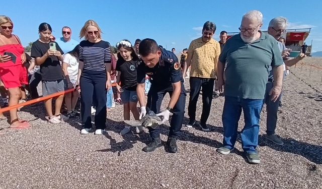 Antalya'da kaplumbağalar uyduyla izlenecek