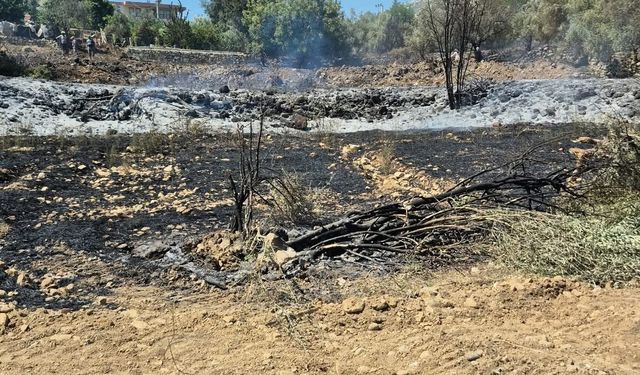 Manavgat’ta yangın zeytin ağaçlarına sıçradı