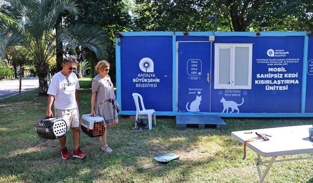 Antalya'da ücretsiz kısırlaştırma yapılıyor
