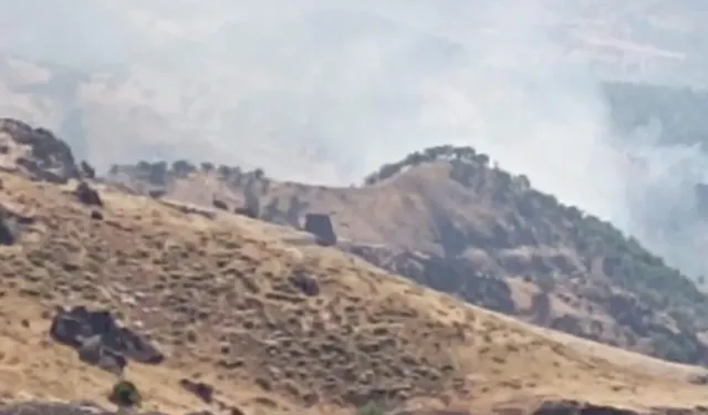 Son dakika! Tunceli'de orman yangını: Müdahale zorlaşıyor