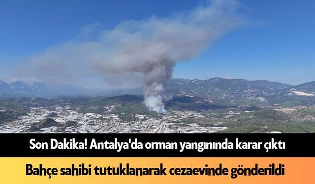 Son Dakika! Antalya'da orman yangını şüphelisi tutuklandı