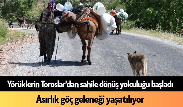 Alanya'da yörüklerin Toroslar'dan sahile dönüş yolculuğu başladı