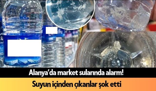 Alanya’da market sularında alarm! Suyun içinden çıkanlar şok etti
