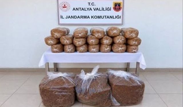 Alanya'da yüzlerce kiloluk kaçak zehir sevkiyatı çökertildi