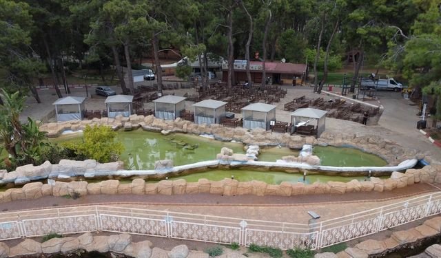 Antalya'da o orman girişlere kapatıldı