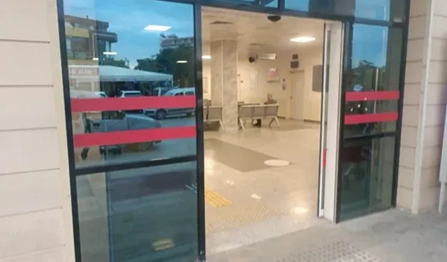 Alanya’da zeytin toplamak isterken acillik oldu
