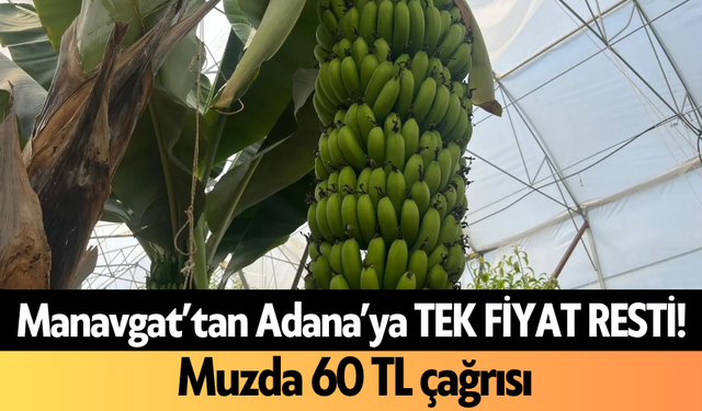 Manavgat’tan Adana’ya TEK FİYAT RESTİ! Alanya'dan muzda 60 TL çağrısı