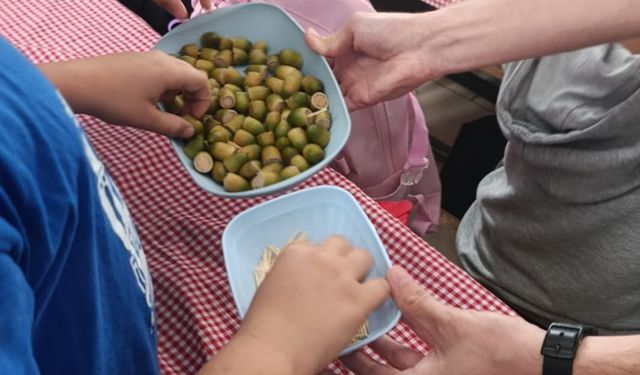 Alanya'da öğrenciler geçmiş mirasını öğreniyor