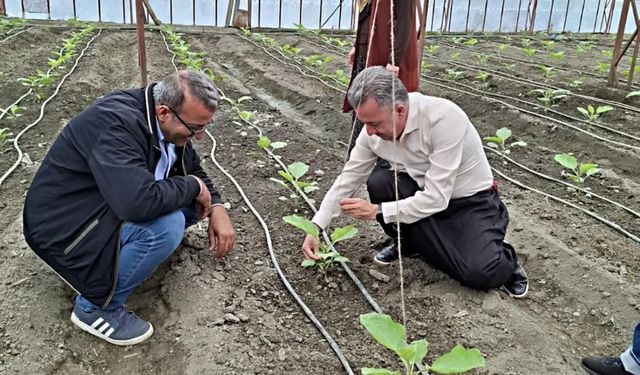 Alanya Müdüründen şalvarlı sera mesaisi: Devrimi başlattı