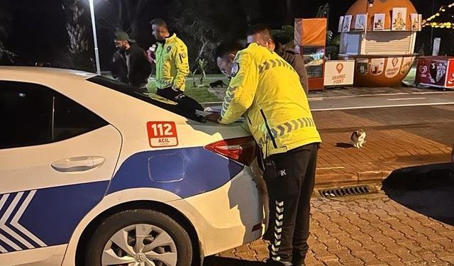 Polis affetmedi! Alanya'da sürücülere ceza yağdı