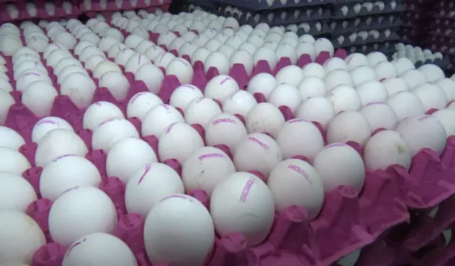 Yumurtanın üzerinde bu rakam varsa hemen çöpe atın: O kodların anlamı çok önemliymiş