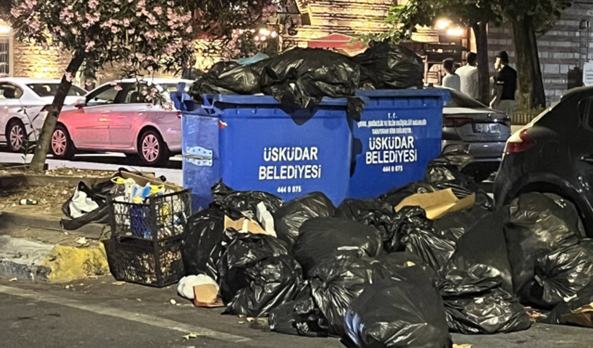 Mahallelinin çöple imtihanı: Şikayet üstüne şikayet yağıyor