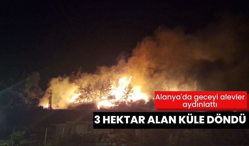 Alanya'da geceyi alevler aydınlattı: 3 hektar alan küle döndü