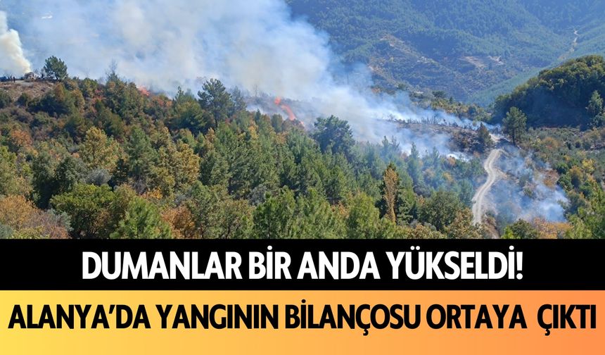 Dumanlar bir anda yükseldi! Alanya’da yangının bilançosu ortaya çıktı