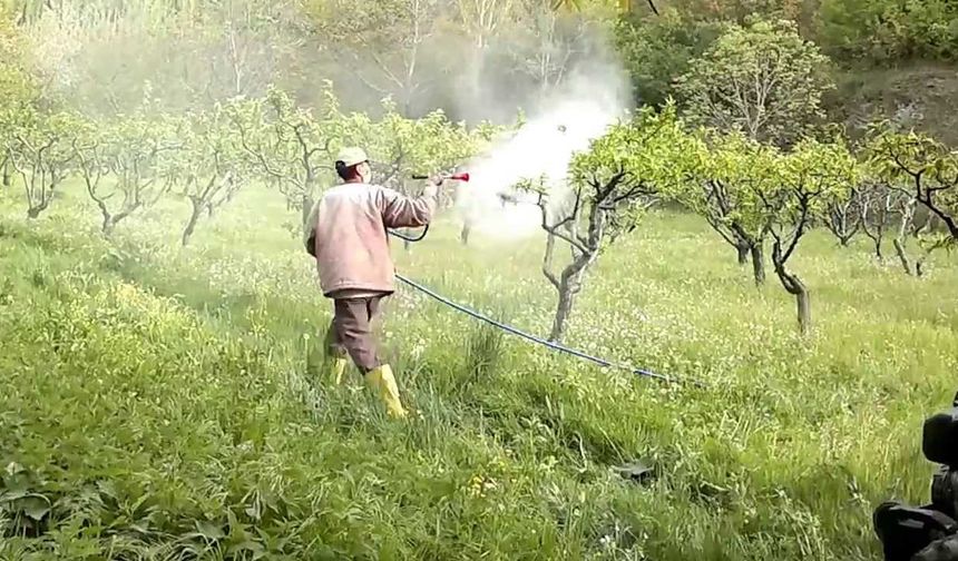 Diken üstündeler: Fatih Altaylı'nın Alanya'da zehirlenme iddiası ortalığı karıştırdı