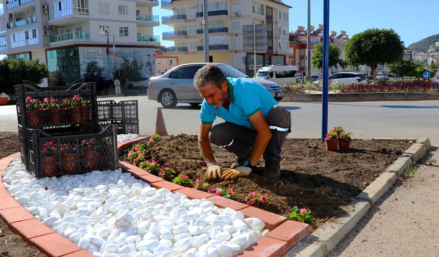 Alanya'nın her yeri çiçek açıyor