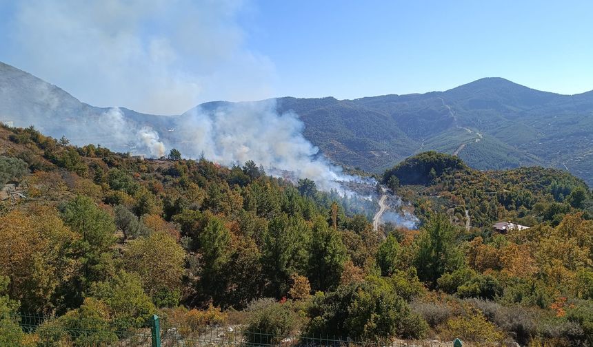 Dumanlar bir anda yükseldi! Alanya’da yangının bilançosu ortaya çıktı